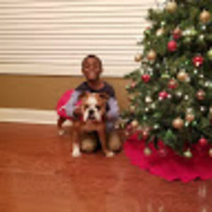 Meet your Posher, Henry